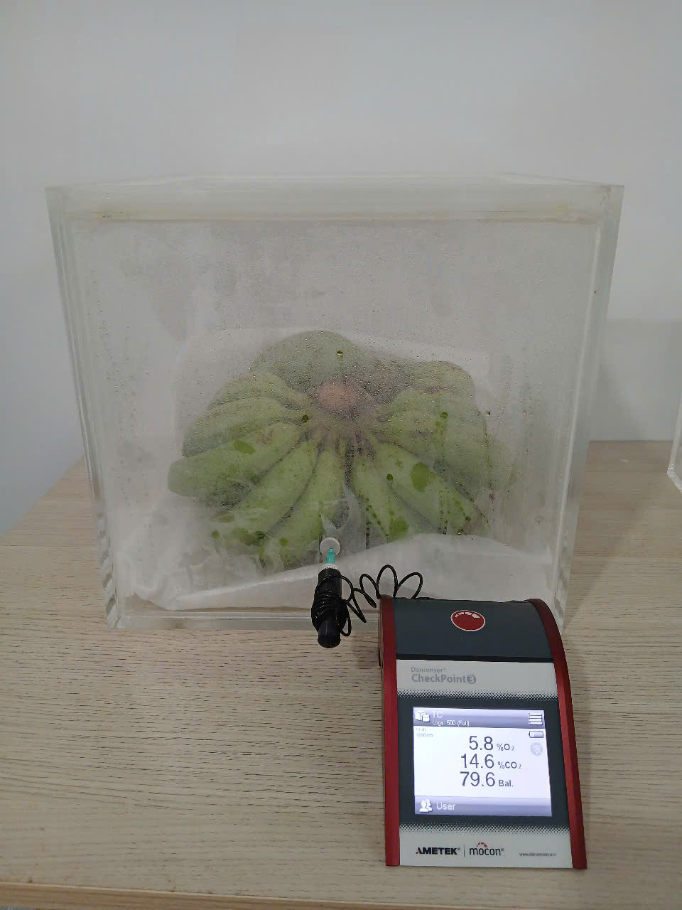 ii4jb_Ảnh 6.jpg